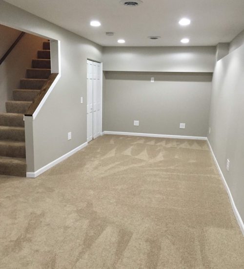 traditional-basement-grub-inc-img~1031bf8005563322_14-9428-1-2db7d1d